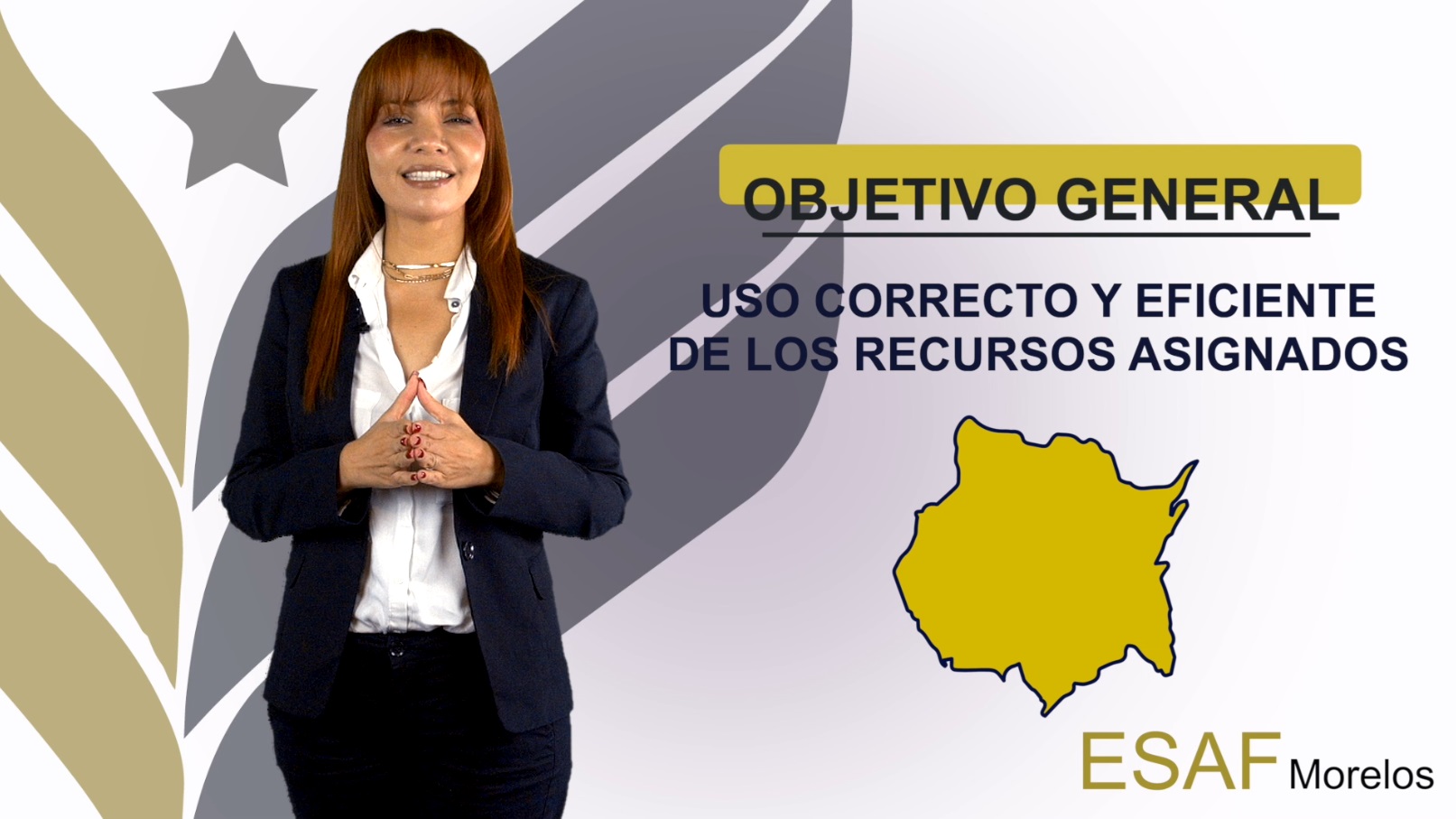 ESAF – Proceso de fiscalización general